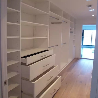 O branco aceitou a caminhada nova personalizada do projeto no armário com placa louca de 18mm