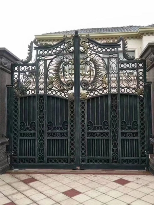 Porta nova e cerco da segurança do projeto da via principal do ferro forjado do ODM do OEM