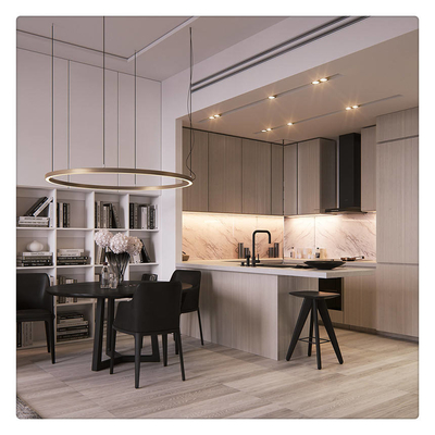 Mobília personalizada modular feita pronta dos armários de cozinha da série da laca